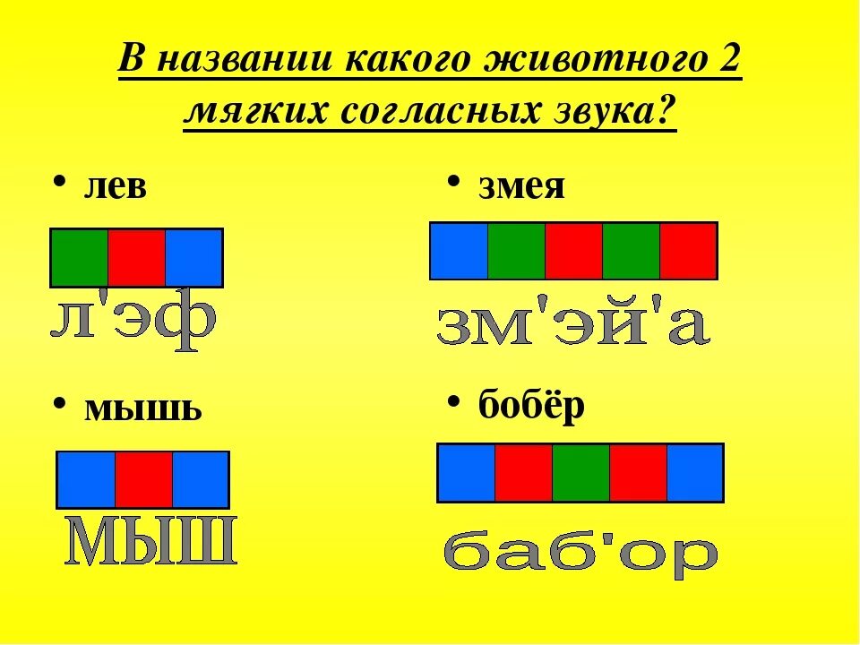 Схема слова мягкая