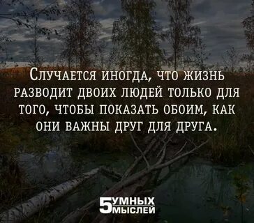 Пять мыслей