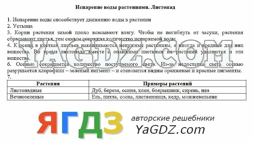 Тест испарение воды листопад. Испарение воды растениями листопад. Биология 6 класс испарение воды растениями листопад. Испарение воды растениями лабораторная работа. Лабораторная работа по биологии испарение воды растениями.