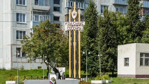 Тейково сосенки