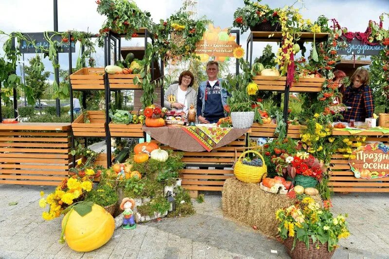 дачные вести. рынок тарту цветы. дачные вести. что посадить на школьном дворе. ганичкина и платонова дачные феи.