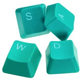 Wa s p