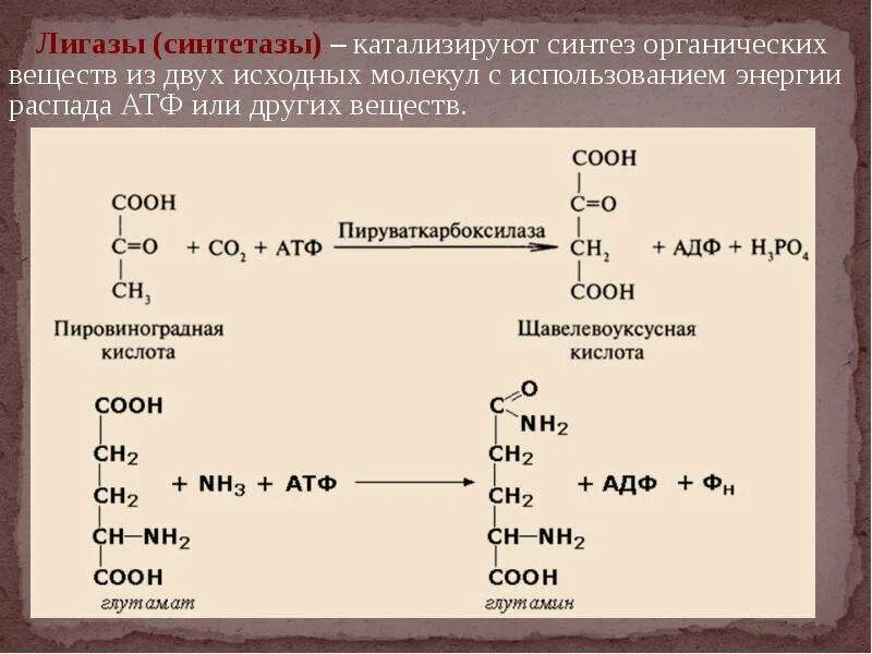 Лигазы реакции. Лигазы примеры реакций. синтез органических соединений. лигазы катализируют. атф лигаза.