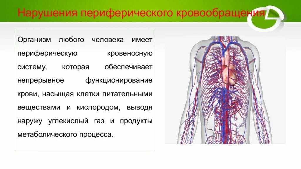 Острые нарушения системы кровообращения. Улучшение венозного кровообращения. синусовая тахикардия мкб.
