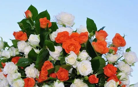 Картинки с красивыми цветами спасибо