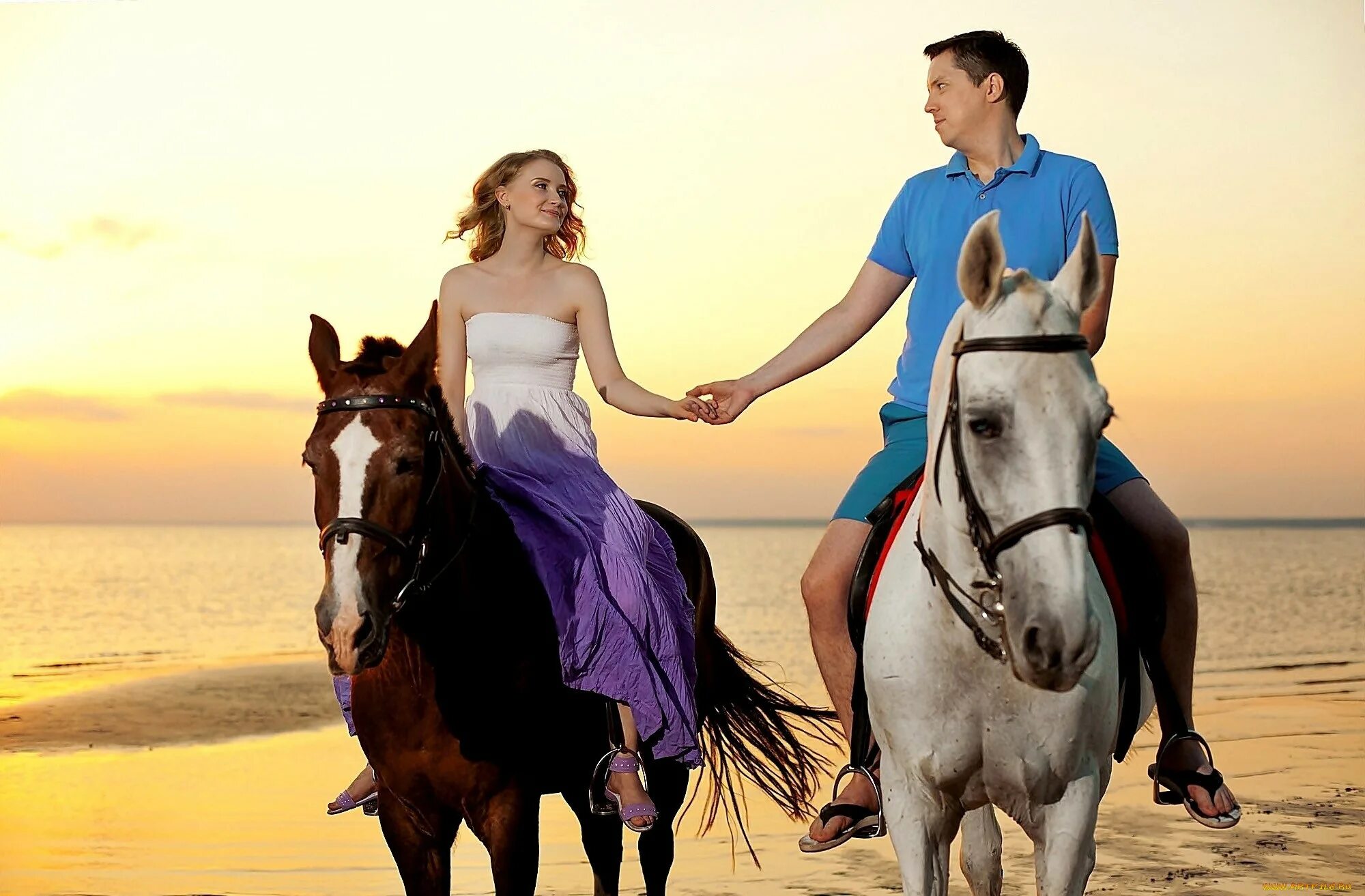 Мужчина лошадь в браке. Мужчина и женщина на коне. Мужчина и женщина верхом на лошадях. Пара лошадей. Влюбленные лошади.