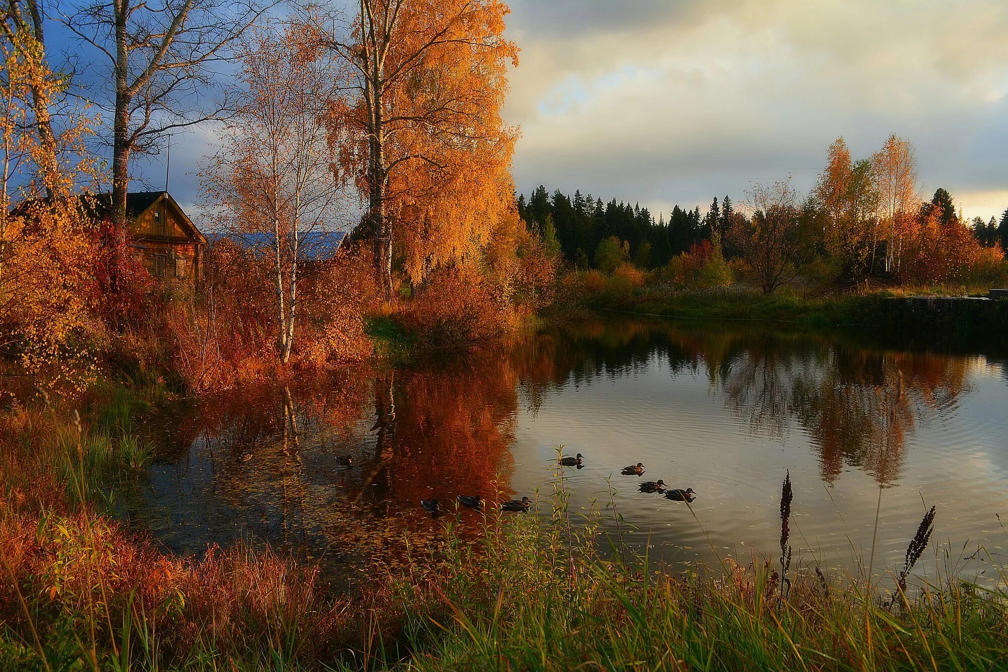 Деревня Чижова река осень. Осенний пейзаж Тульская деревня. Пушгоры осень. Осень деревня Зенькино.