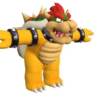 Bowser's