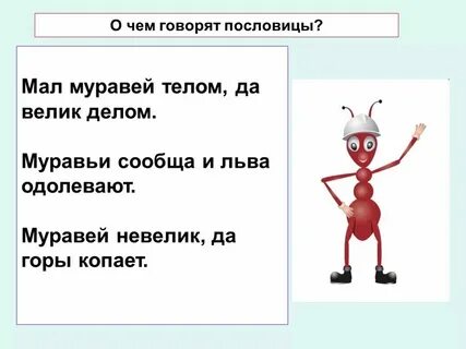 Как можно перенести слово муравьи