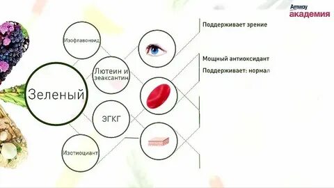 5 цвет питания