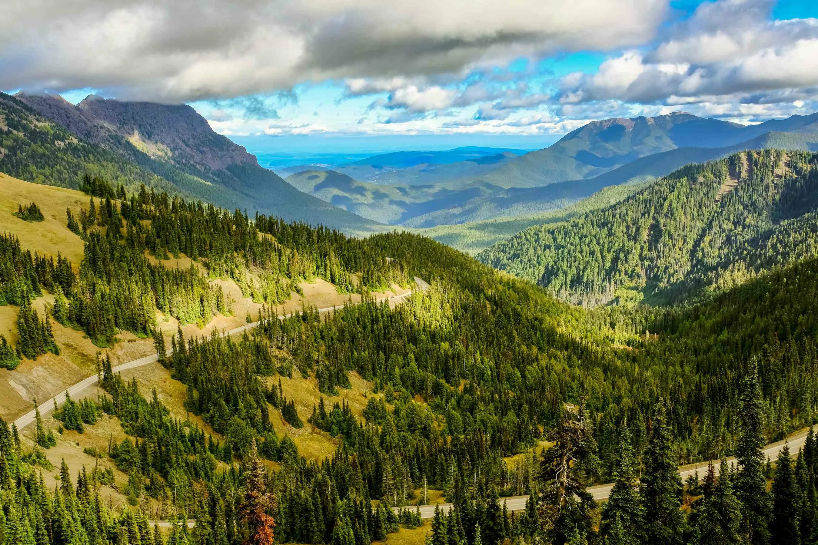 Природные страны казахстана. Вашингтон природа. Парк Олимпик Вашингтон. Washington State Лесная дорога. Северо-Восточная Джорджия природа.