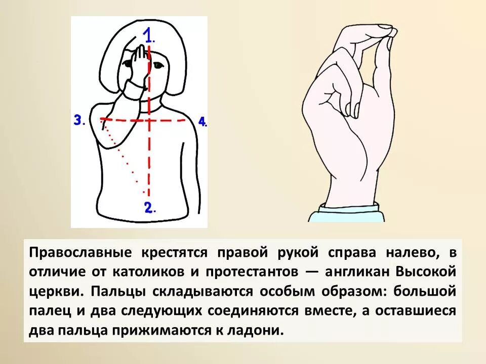 Как правильно креститься православным христианам. Правильно креститься в православной церкви. Как правильно креститься в православной церкви рукой. Правильное крестное Знамение. Kak