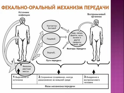 Какие инфекции через оральный