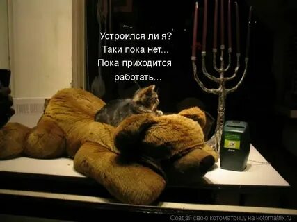 И тебе ни дня не придется работать