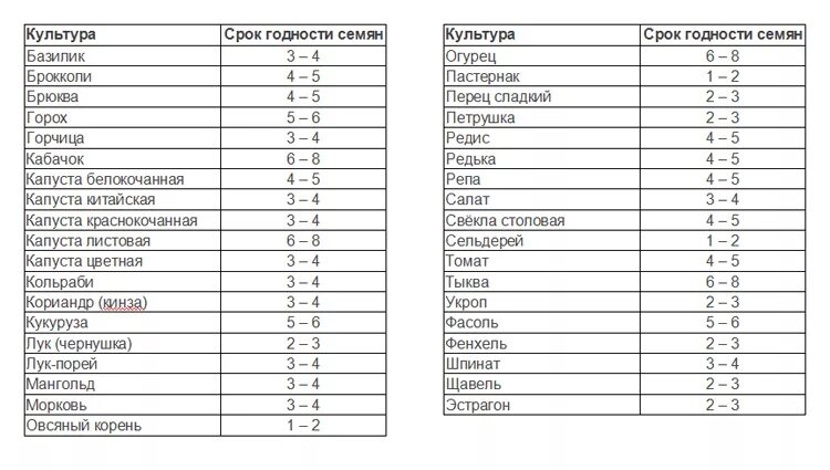 Сколько всходят семена цветов. Срок хранения семян овощей таблица. Сроки годности семян овощных культур таблица. Срок годности овощных семян таблица. Сроки всхода семян овощей таблица.