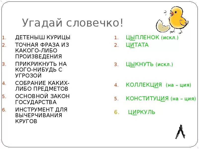 Собрание каких либо предметов