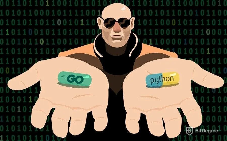 Выбирай go. Создатель питона. Питон язык программирования. Go vs Python. Питон свастика.