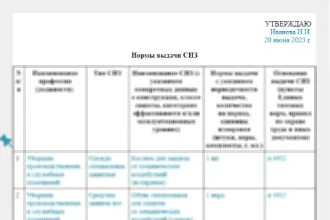 Новые нормы выдачи сиз с 2023