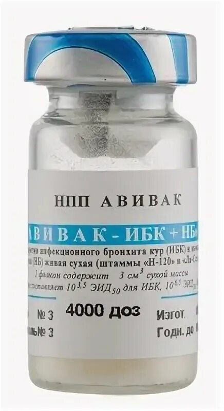 Ибк отзывы