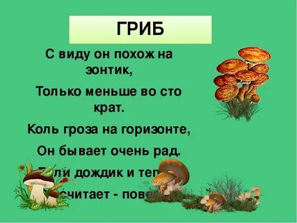 3 загадки про грибы