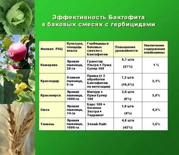Можно смешивать гербициды