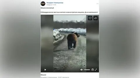 Я медведь как снимали медвежонка