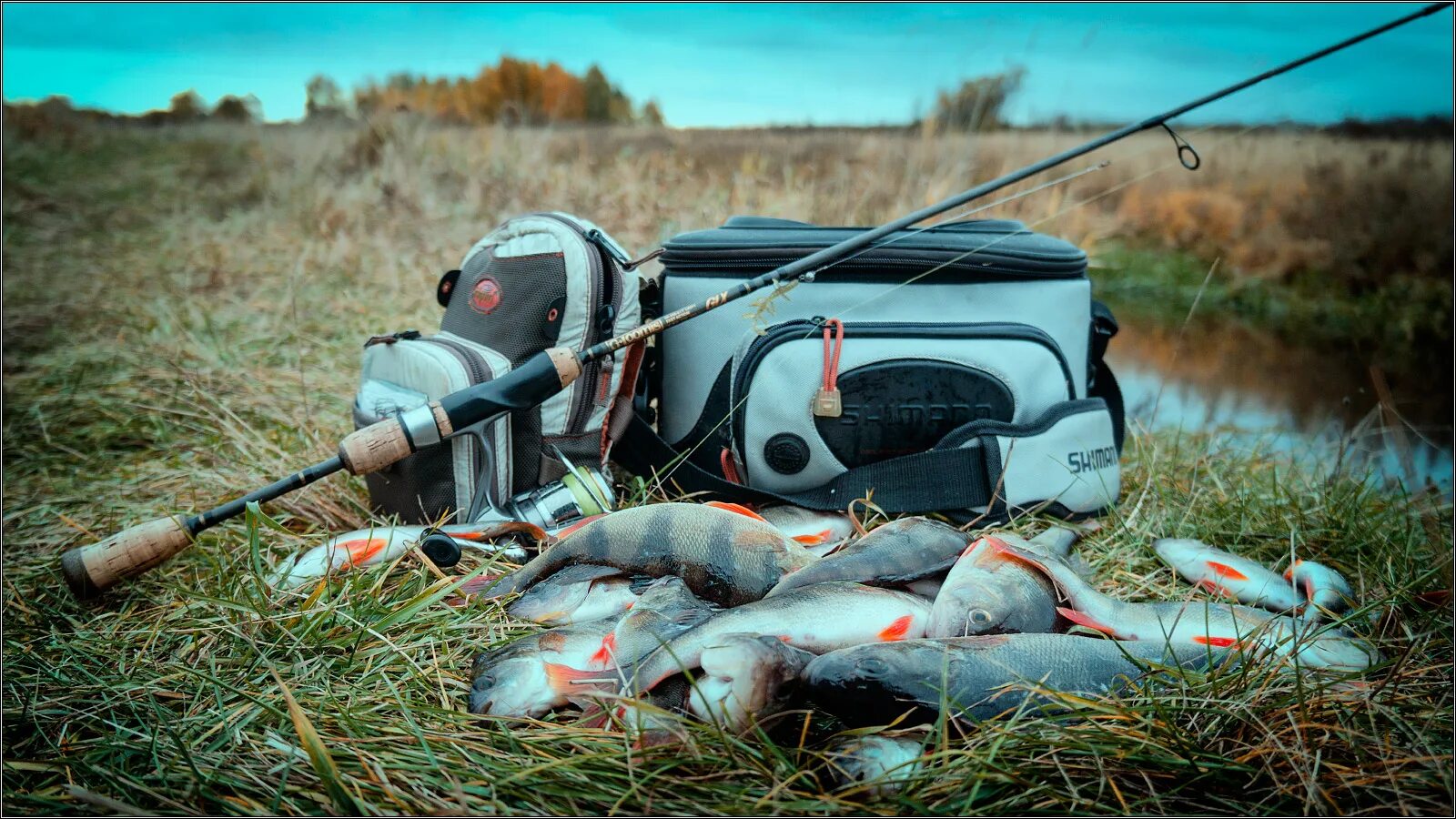 Рыбалка фотографии. Рыбак на закате. Рыбак на речке. Рыбак на речке. Красивая природа рыбалка.