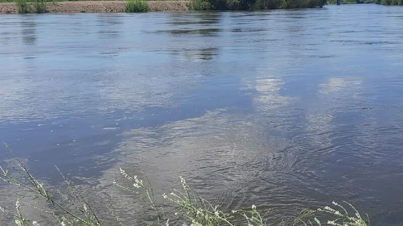 вода вышла на пойму. вода вышла на пойму. вода вышла на пойму. ледоход моряковский затон. начало наводнения.