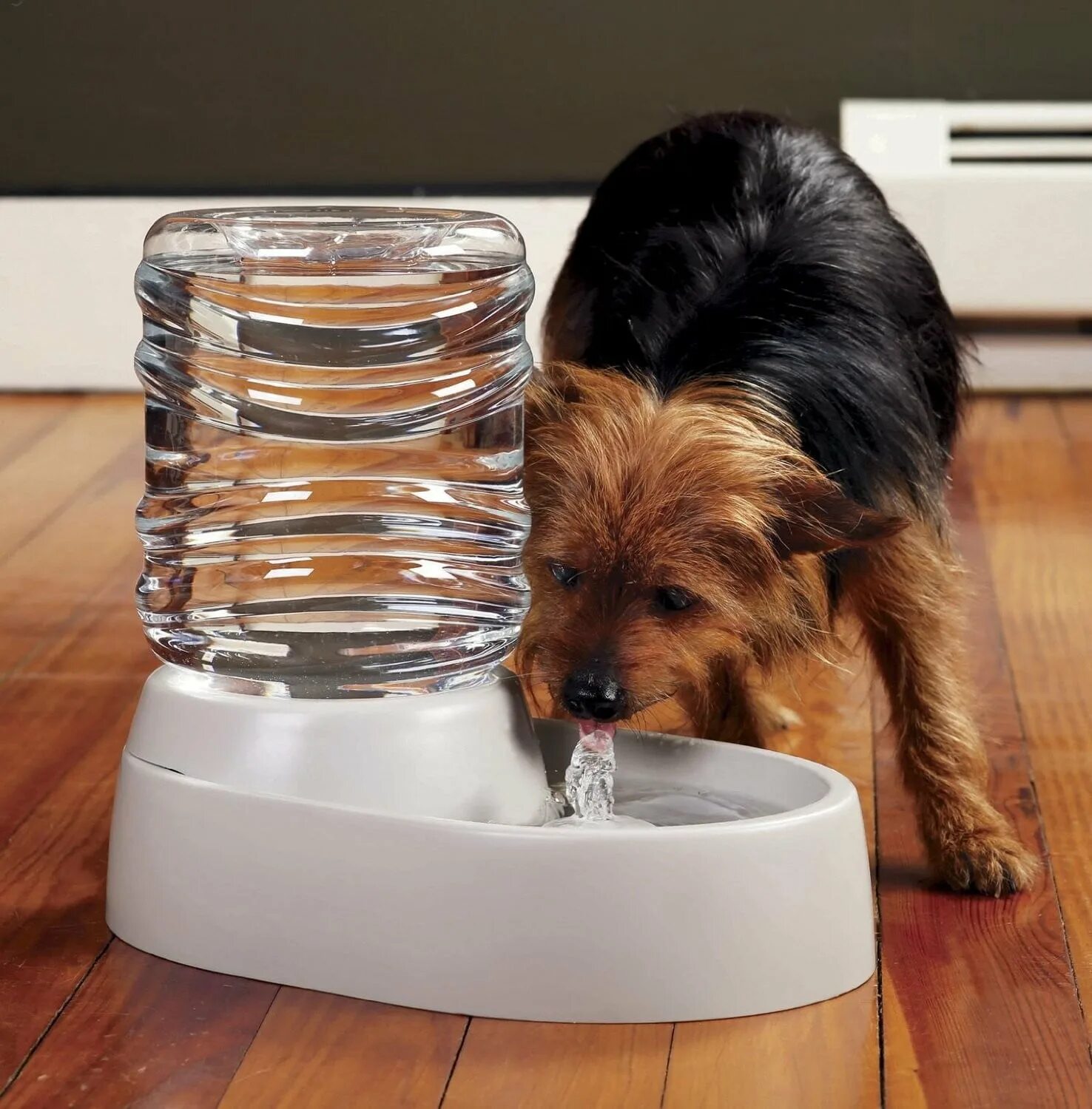 Pet 99 цены. Фонтан для кошек. Поилка фонтан для животных Ксиаоми. Pet вода. Automatic Pet Water Fountain tk-wf001.