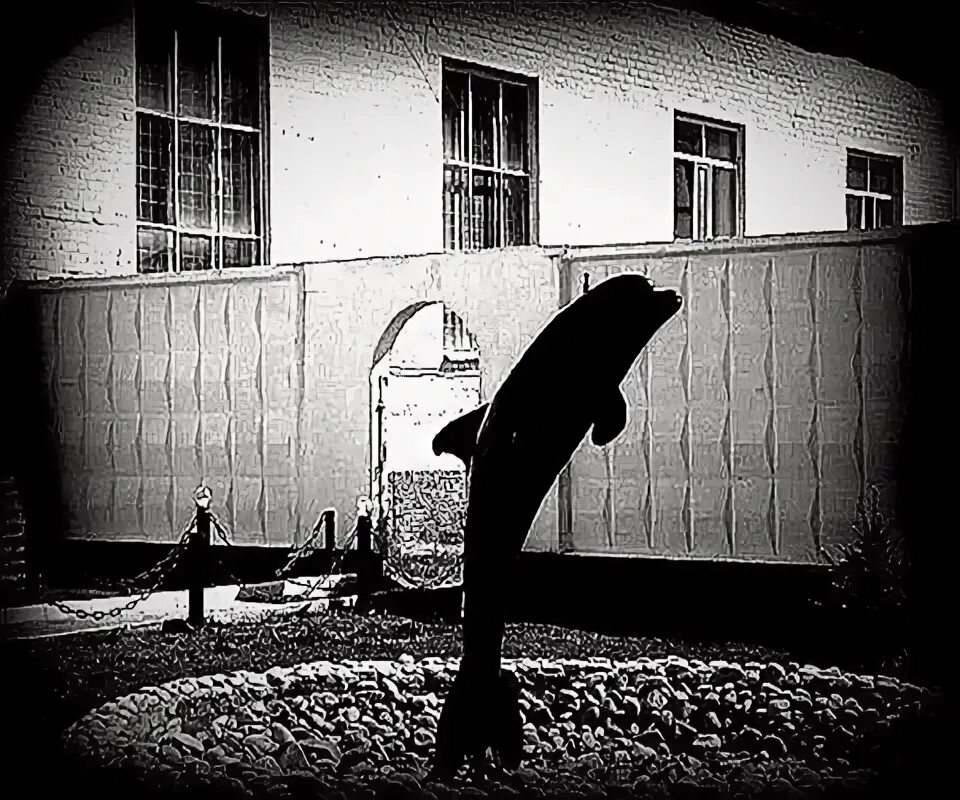 Пытка дельфин. Фонтанчик с черным дельфином. Черный Дельфин. Черный Дельфин арт. Фантанчик с чёрным дельфином.