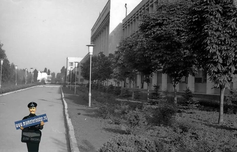 краснодар 1980 год. краснодар в 30-е годы. красная улица краснодар 1980. краснодар 1980 фестивальный. краснодар фото 1980 годов.