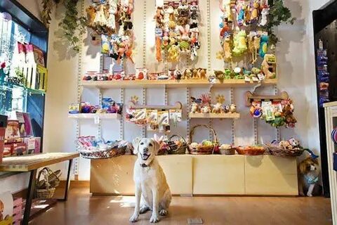 Best pets shop