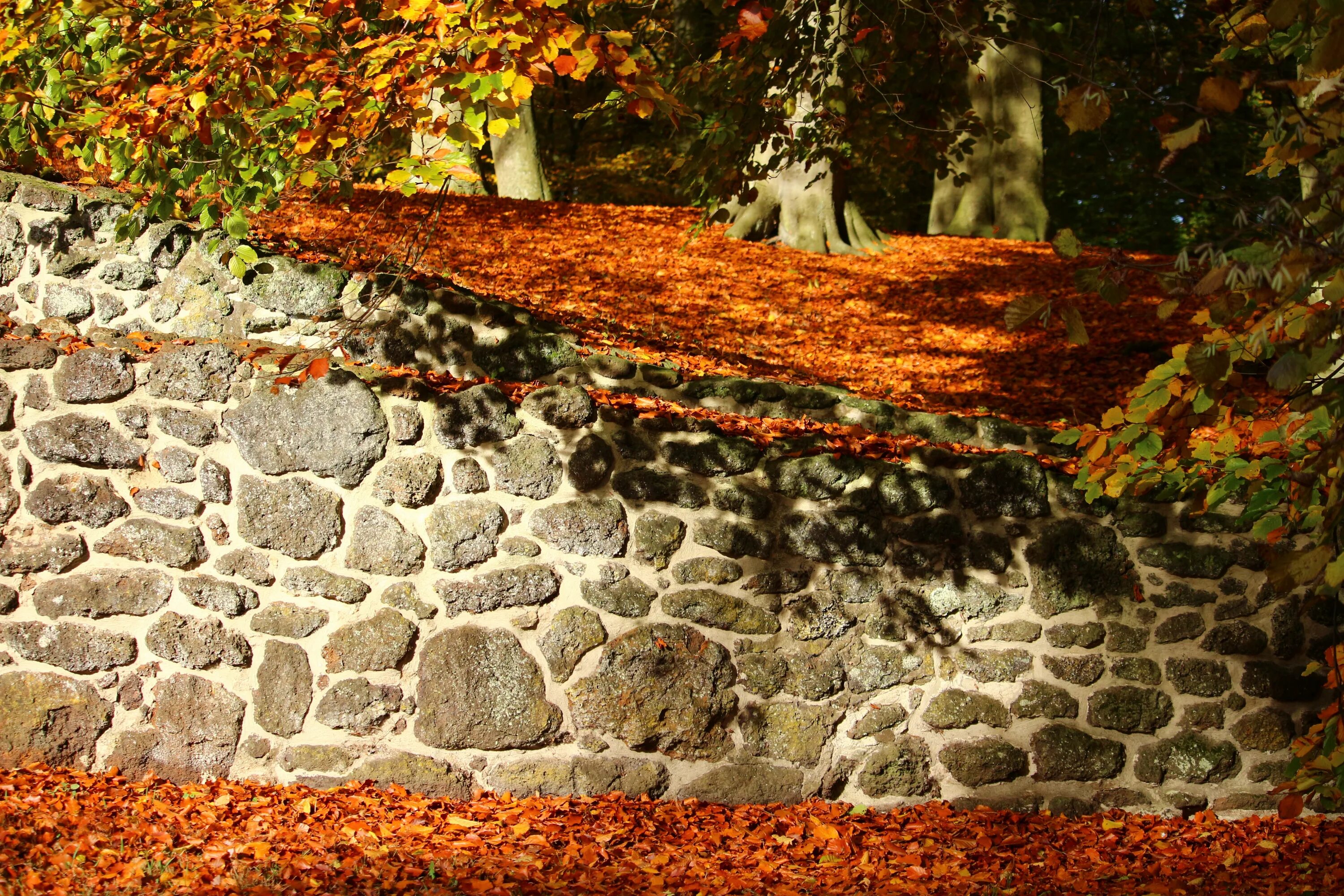 Wall fall. Стена из валунов. Каменный забор. Старая каменная изгородь. Каменная стена.