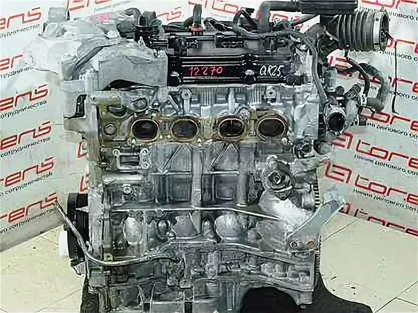 5. Двигатель ниссан qr25de. Контрактный qr25de. 4609415 генератор. Двигатель ниссан x-trail 2.