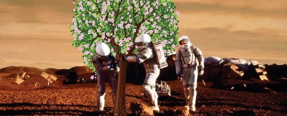 Марс валиев художник. Марсианское чтение. И на марсе будут яблони цвести текст. Книга эврика. Растительность на марсе.