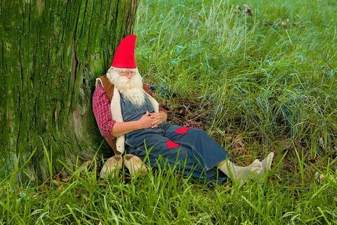 Forest gnome