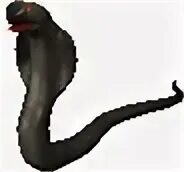 Thicc snake animation