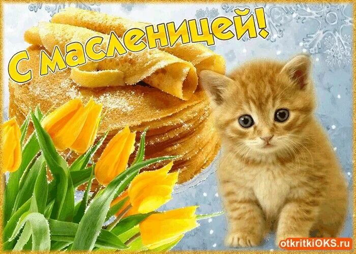 Поздравления с масленицей прикольные. Масленица открытки красивые живые. Масленица открытки красивые живые. Масленица открытки красивые живые. С масленицей гиф красивые открытки.