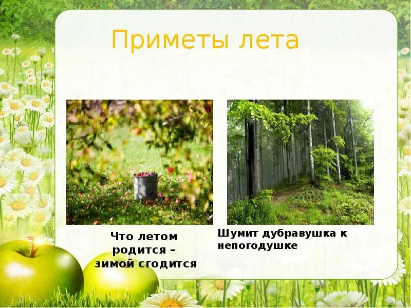 Платье приметы лета. Приметы лета. приметы про лето. народные приметы лета. приметы летом.