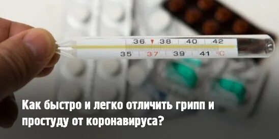 Как отличить обычный грипп от коронавируса. Грипп простуда коронавирус. коронавирус и простуда. отличить простуду от коронавируса. отличить коронавирус от простуды.
