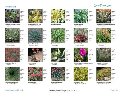 The plant list