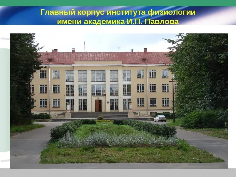 Нии физиологии. Институт павлова колтуши. институт физиологии им и п павлова ран колтуши. парк института физиологии имени павлова. парк имени павлова колтуши.