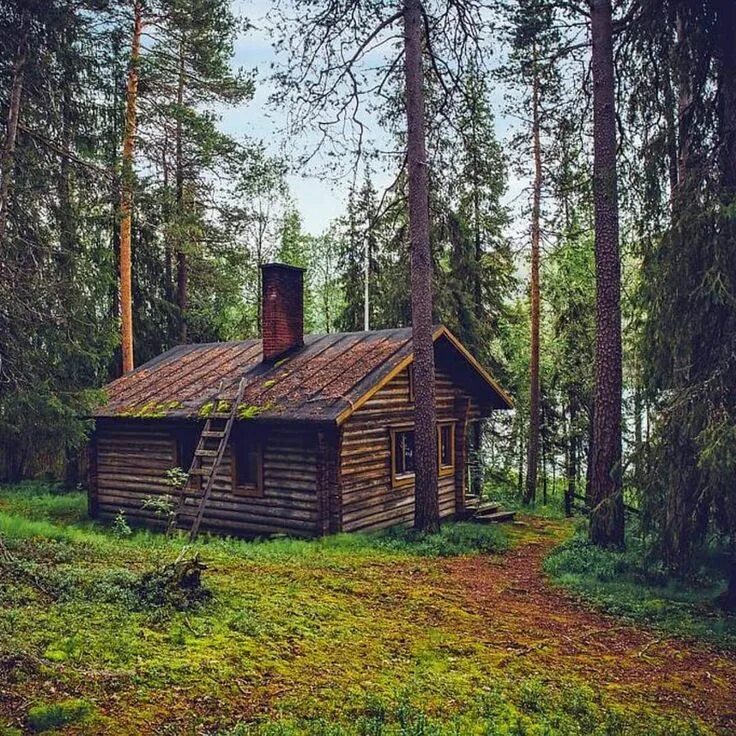 Жизнь в избе в лесу. Тайга хижина лесника. заимка тайга избушка сибирь. хижина штата мэн. домик в лесу.