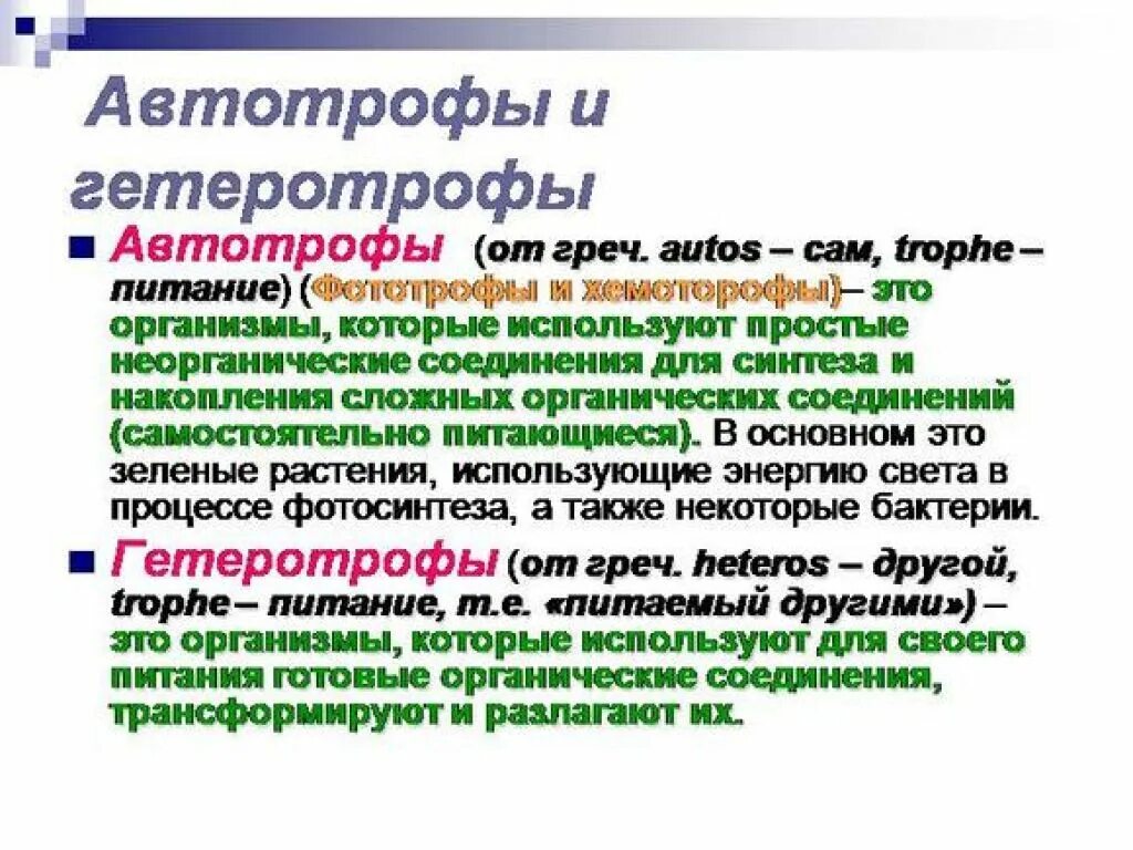 Автотрофы и гетеротрофы. Ыототрофв гетеротрофы. Автотрофный и гетеротрофный Тип питания. Автоторфти гетероторф. Автотрофы что это