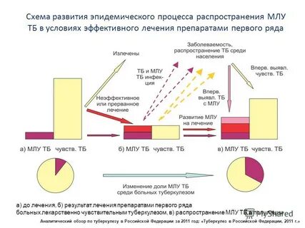 Млу туберкулез