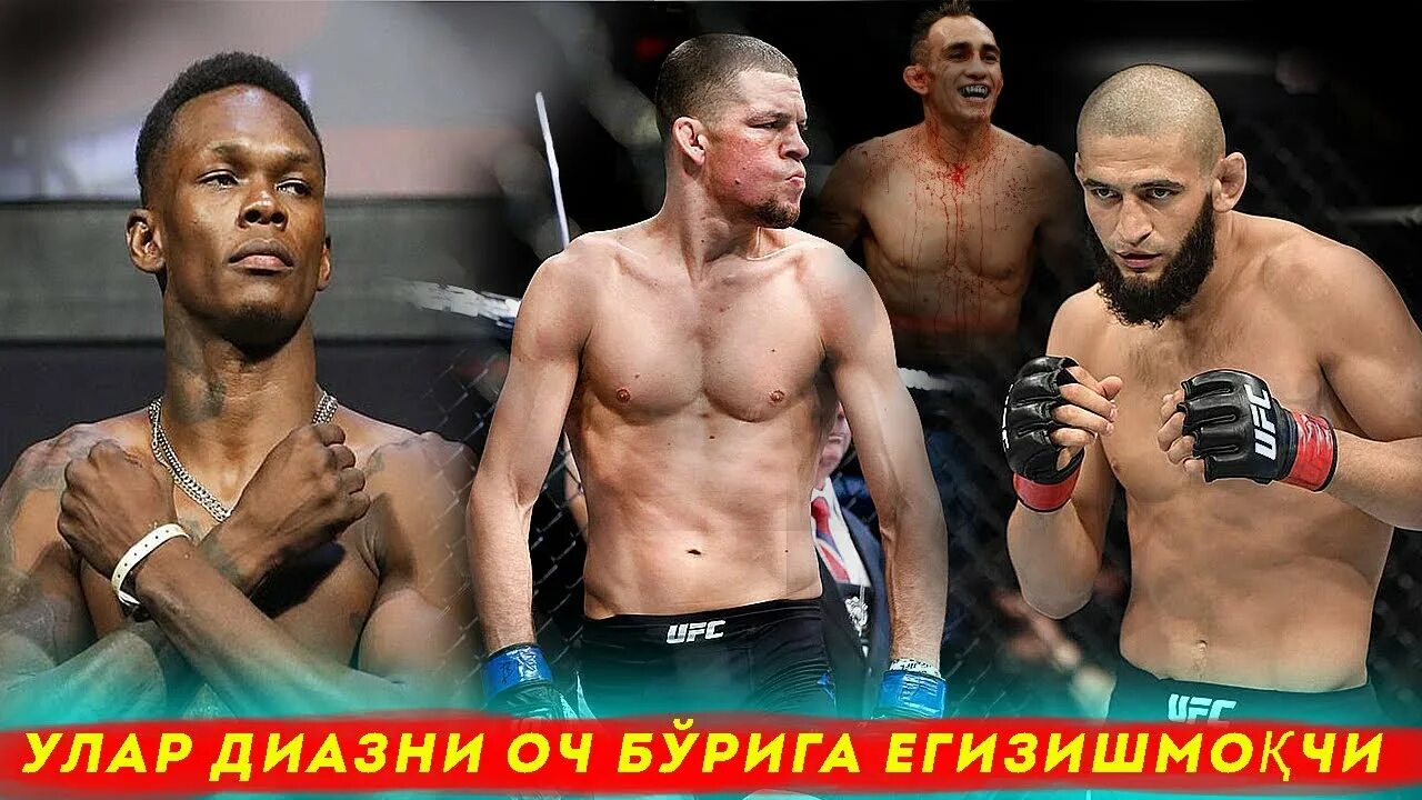 UFC TV. Xamzat chemeyv foto. Синдираман. Нурсултан янги жанги