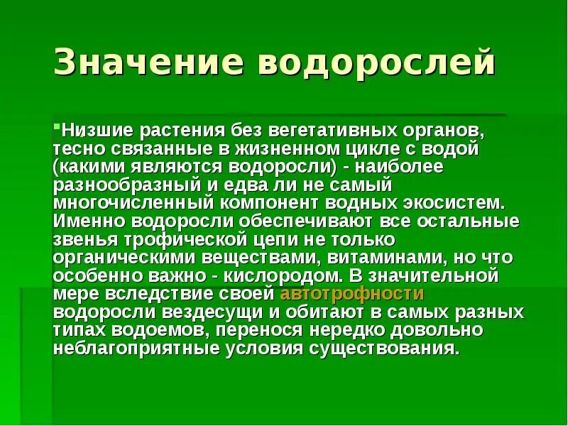 Какие водоросли наиболее часто используются в пищу