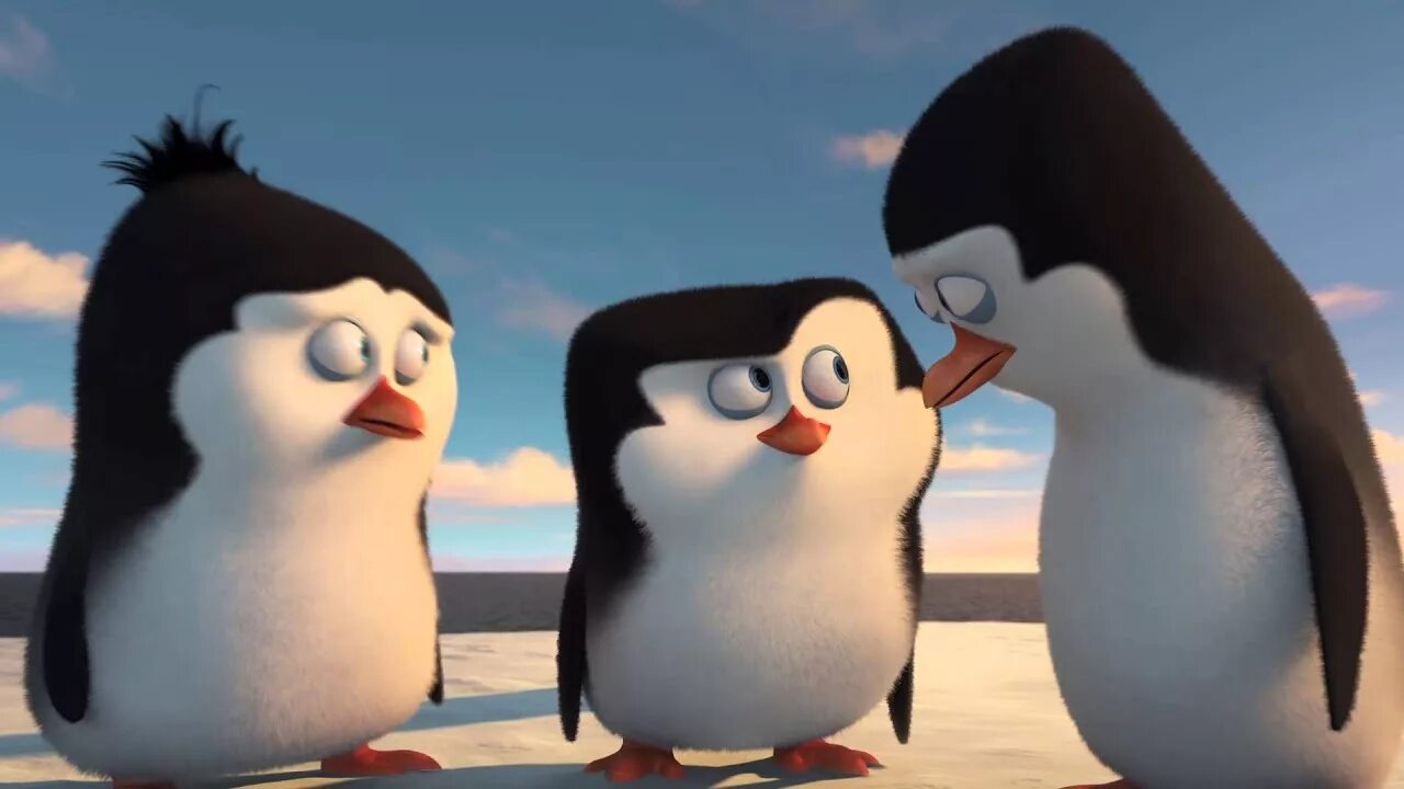 Шкипер ковальски рико и прапор. Пингвины из мадагаскара 2014. Шкипер ковальски рико и прапор. Пингвины мадагаскара ковальски. Пингвины мадагаскара 2.