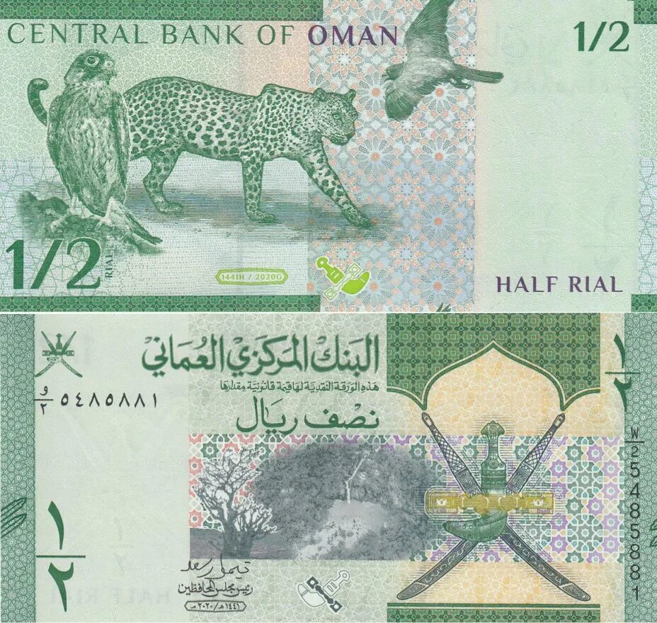 Риал Омана банкноты. Валюта Омана. Оманский риал купюра. 100 Оманских риалов купюра.