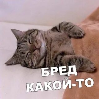 Приснится же такое
